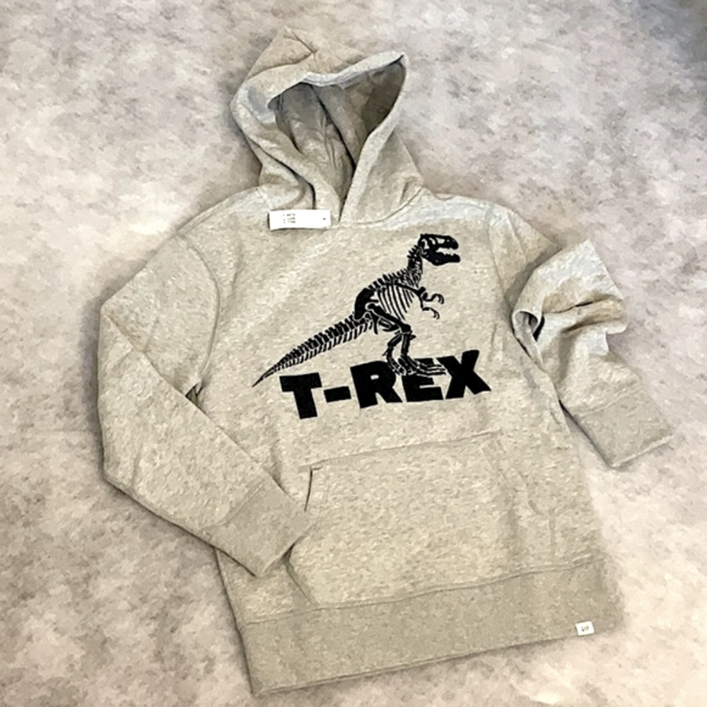 GAP T-Rex Graphic Hoodie - XL